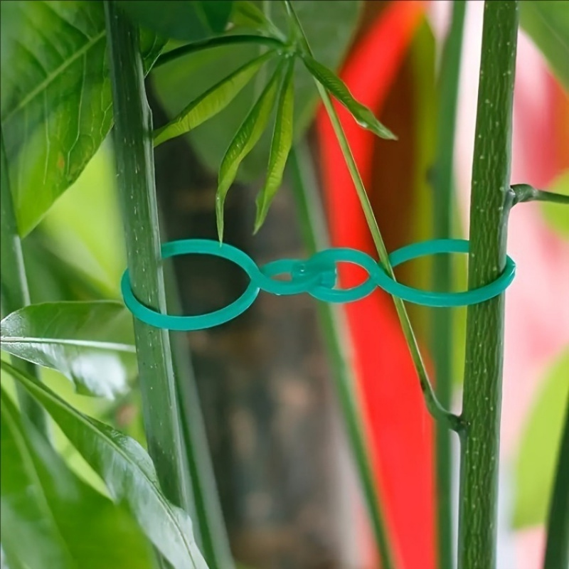 125個入り ガーデン植物サポートキット つるクリップ ツイ - Plant Parent Kit のレビューと価格