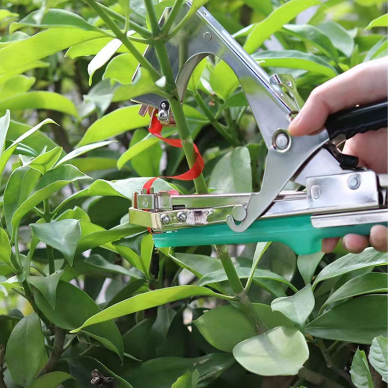 園芸植物の枝結束機、野菜用テープ、家庭菜園の苗や蔓の結束ツー - Plant Parent Kit のレビューと価格