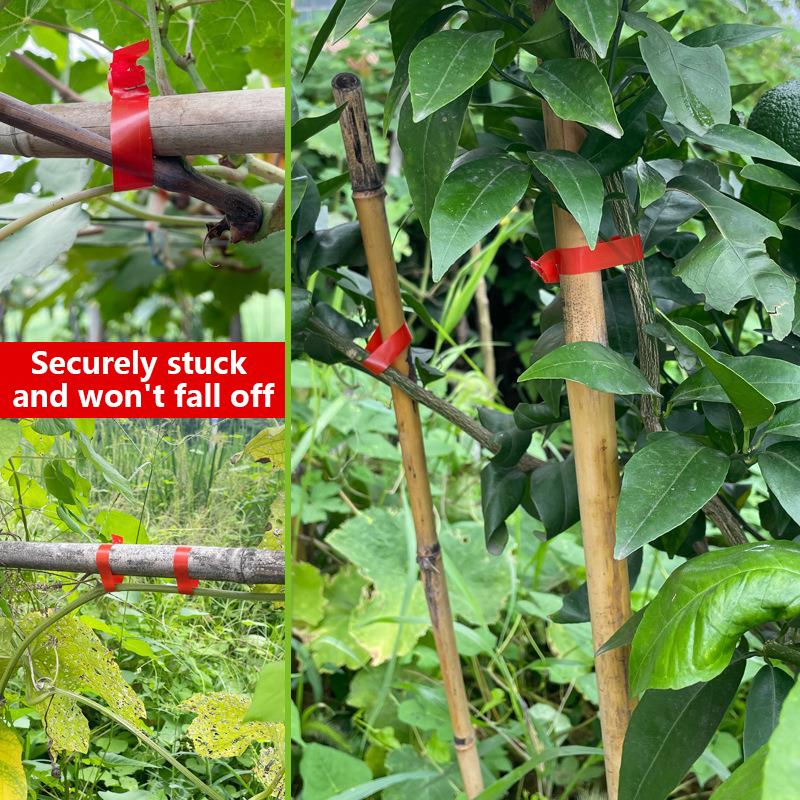 園芸植物の枝結束機、野菜用テープ、家庭菜園の苗や蔓の結束ツー - Plant Parent Kit のレビューと価格