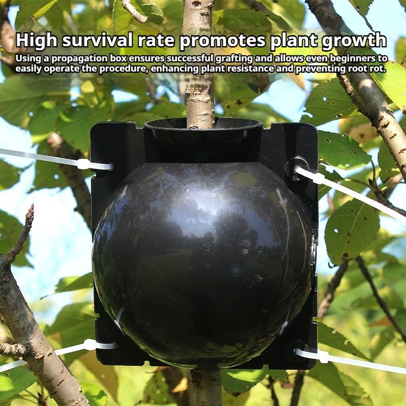 10個入り植物繁殖キット：高速発根用高圧接木ボール。 耐久性 - Plant Parent Kit のレビューと価格