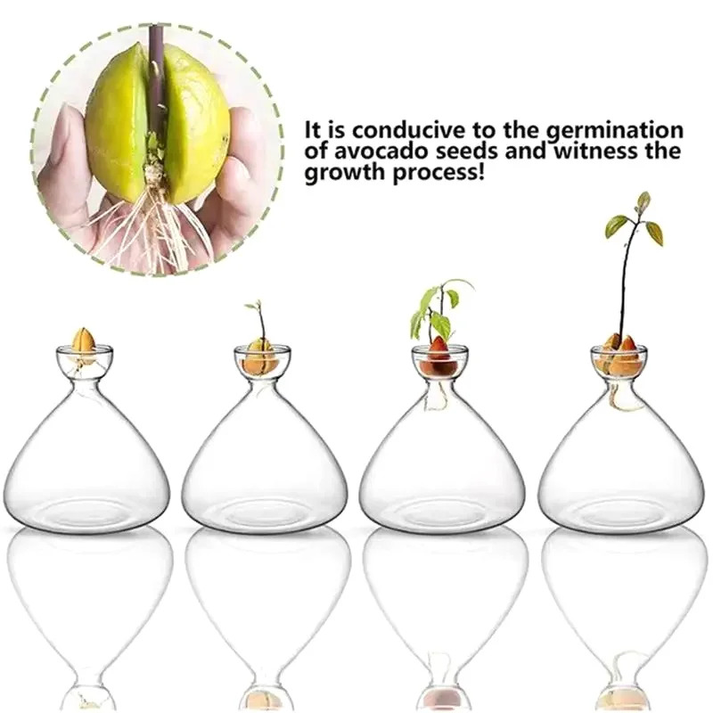アボカドの種子栽培用花瓶 透明ガラス花瓶 植物栽培用 ガラス - Plant Parent Kit のレビューと価格