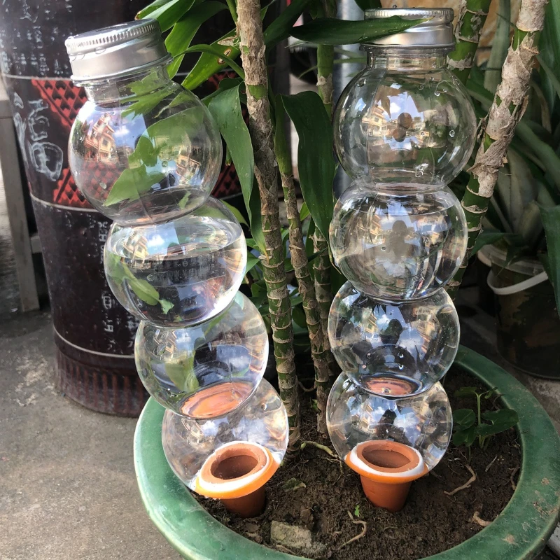 1/3/5個入り クリエイティブ自動給水装置 植物散水器 自 - Plant Parent Kit のレビューと価格